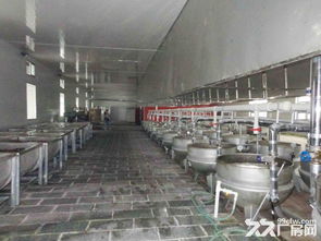 滄縣優質廠房與場地出租，助力食品加工與家具紙箱企業騰飛